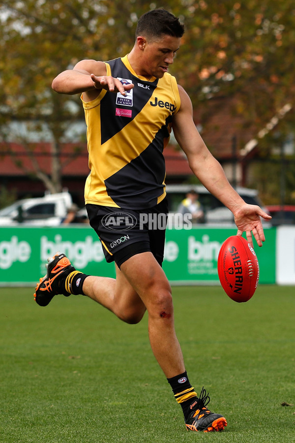 VFL 2016 Rd 02 - Richmond v Footscray - 429998