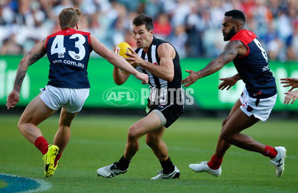 AFL 2016 Rd 04 - Collingwood v Melbourne - 431164