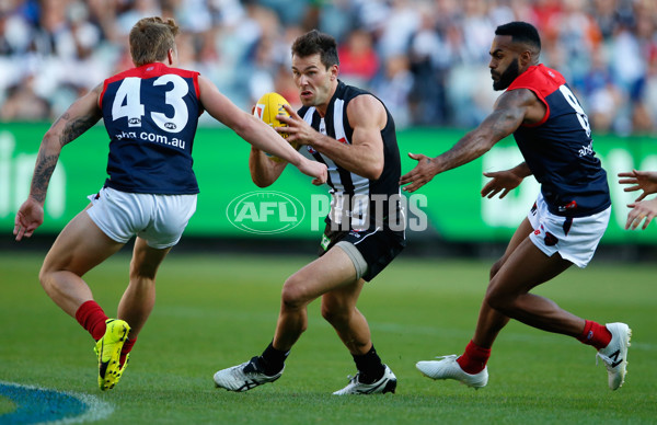 AFL 2016 Rd 04 - Collingwood v Melbourne - 431164