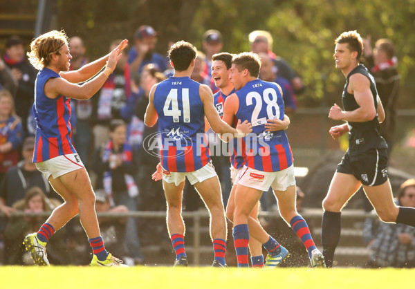 VFL 2016 Rd 03 - Northern Blues v Port Melbourne - 432108