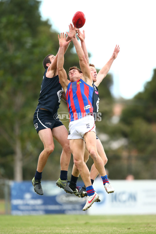 VFL 2016 Rd 03 - Northern Blues v Port Melbourne - 432351