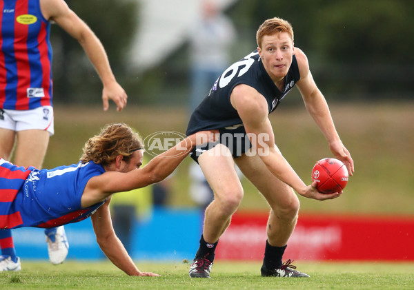 VFL 2016 Rd 03 - Northern Blues v Port Melbourne - 432539