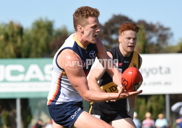 Adelaide 2016 - SANFL R5 v Glenelg - 433825