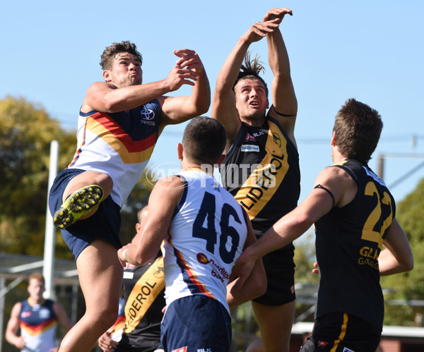 Adelaide 2016 - SANFL R5 v Glenelg - 433817