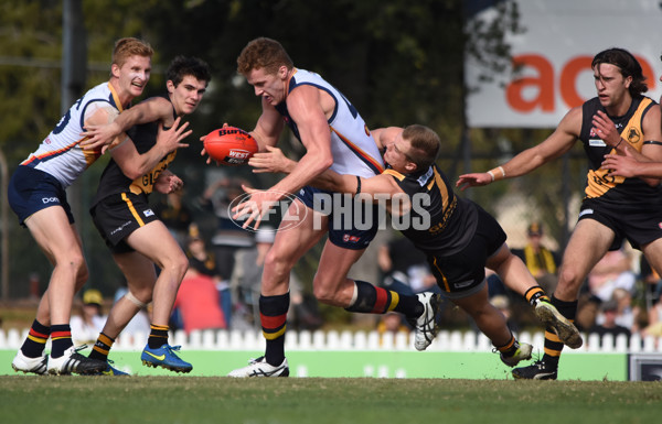 Adelaide 2016 - SANFL R5 v Glenelg - 433824