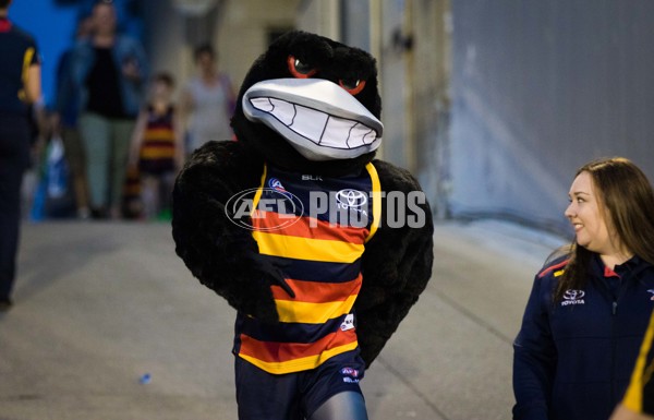 Adelaide 2016 - Junior Members clinic - 434049