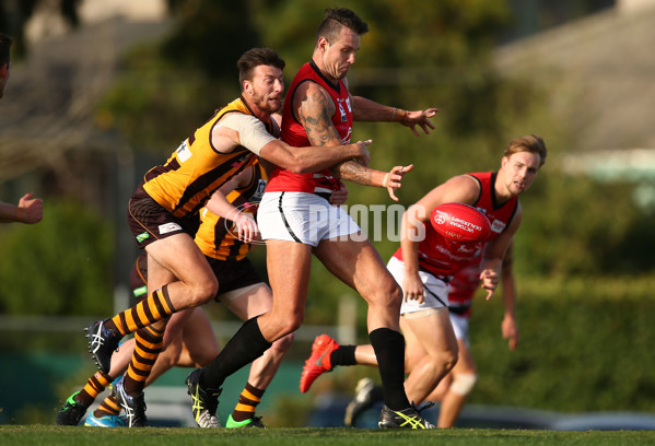 VFL 2016 Rd 04 - Box Hill Hawks v Frankston - 435215