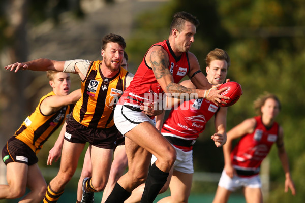 VFL 2016 Rd 04 - Box Hill Hawks v Frankston - 435213