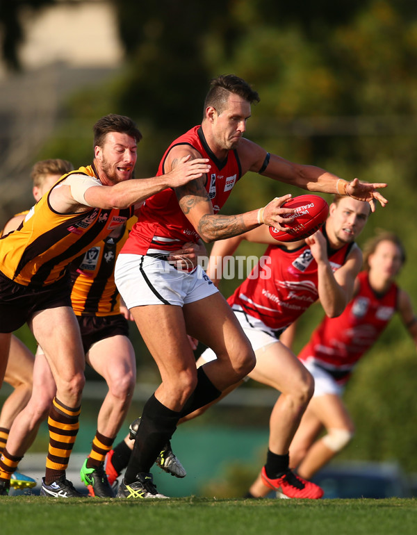 VFL 2016 Rd 04 - Box Hill Hawks v Frankston - 435212