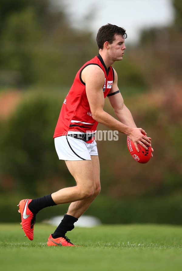 VFL 2016 Rd 04 - Box Hill Hawks v Frankston - 435637