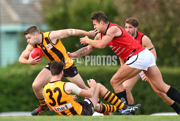 VFL 2016 Rd 04 - Box Hill Hawks v Frankston - 435669