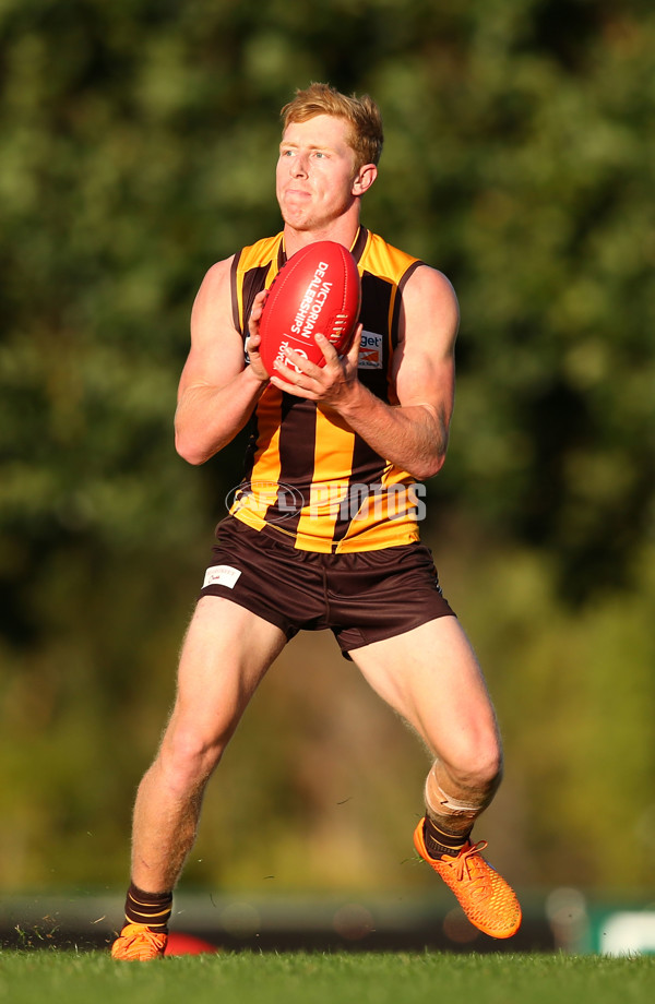 VFL 2016 Rd 04 - Box Hill Hawks v Frankston - 435674