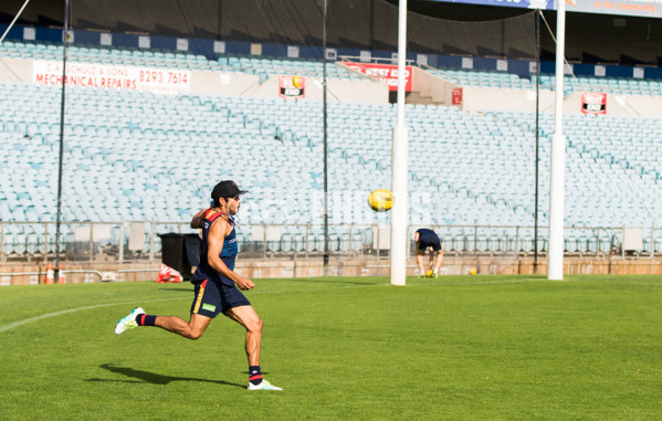 Adelaide 2016 - Open training, May 6 - 436181