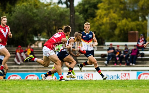 Adelaide 2016 - SANFL R7 v North - 437813