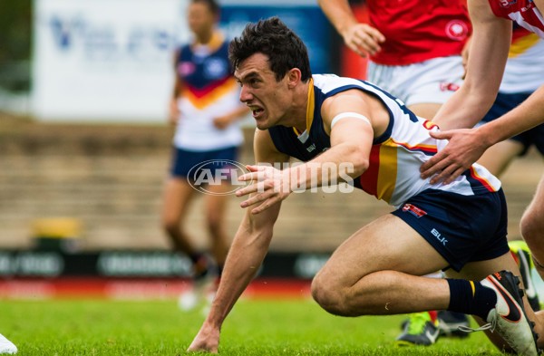 Adelaide 2016 - SANFL R7 v North - 437814
