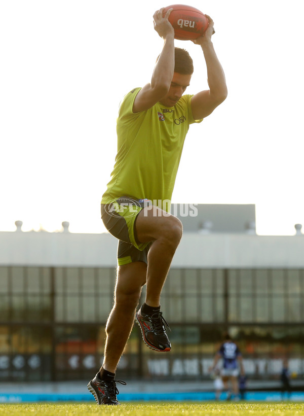 AFL 2016 Portraits - Andrew Carrazzo - 437963