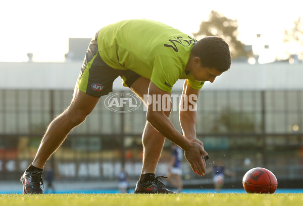 AFL 2016 Portraits - Andrew Carrazzo - 437964