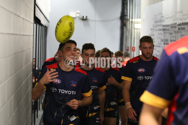 Adelaide 2016 - Ray Titus, Rd 8 - 438275