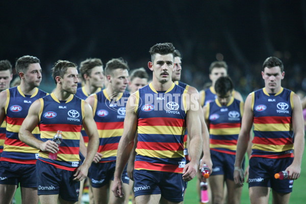 Adelaide 2016 - Ray Titus, Rd 8 - 438279