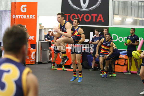 Adelaide 2016 - Ray Titus, Rd 8 - 438278