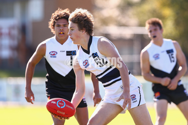 TAC 2016 Rd 07 - Northern Knights v North Ballarat - 438311