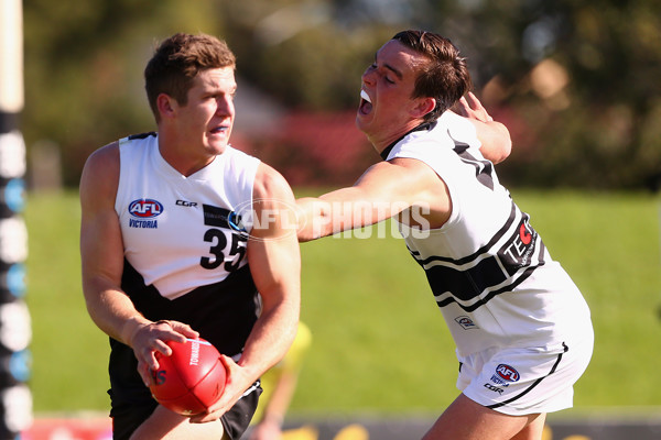 TAC 2016 Rd 07 - Northern Knights v North Ballarat - 438361