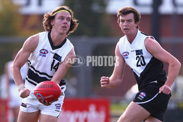 TAC 2016 Rd 07 - Northern Knights v North Ballarat - 438794