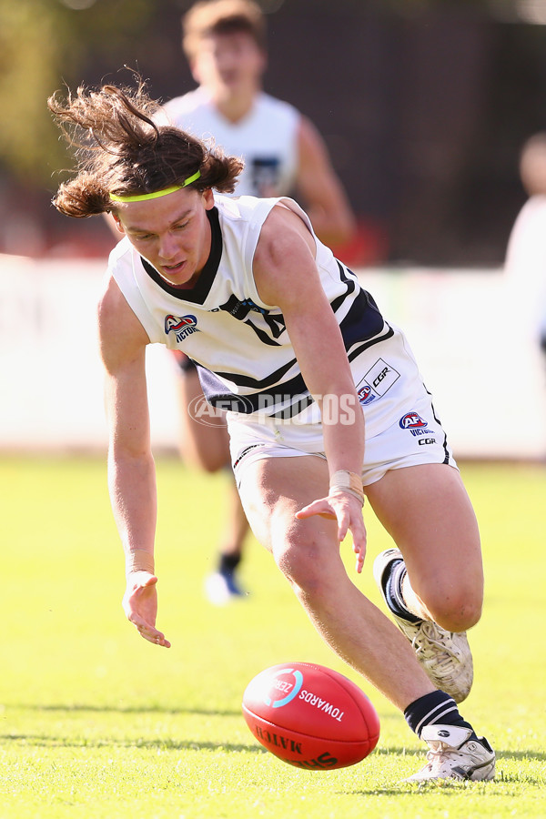 TAC 2016 Rd 07 - Northern Knights v North Ballarat - 438805