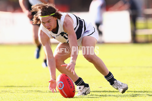 TAC 2016 Rd 07 - Northern Knights v North Ballarat - 438807