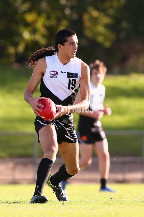 TAC 2016 Rd 07 - Northern Knights v North Ballarat - 438835