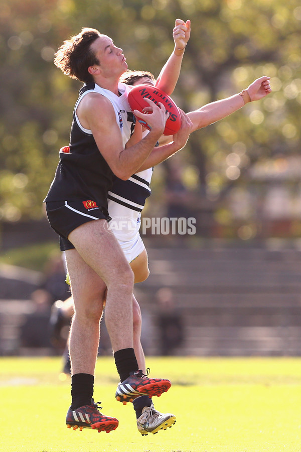TAC 2016 Rd 07 - Northern Knights v North Ballarat - 438839