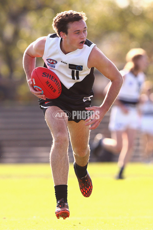 TAC 2016 Rd 07 - Northern Knights v North Ballarat - 438840
