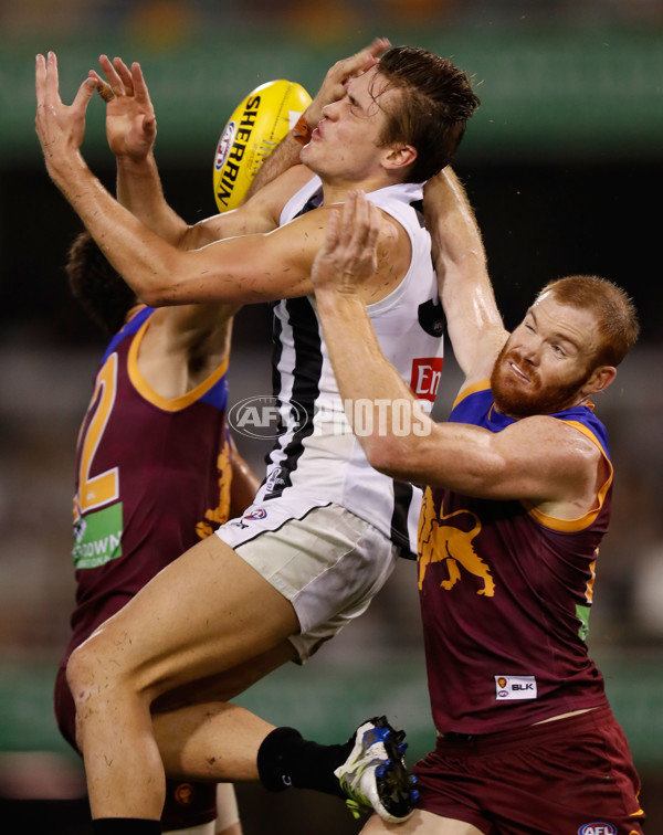 AFL 2016 Rd 08 - Brisbane v Collingwood - 438995