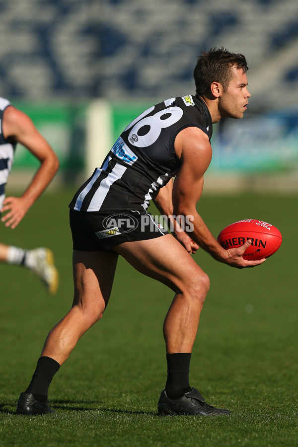 VFL Rd 06 - Geelong v Collingwood - 439643