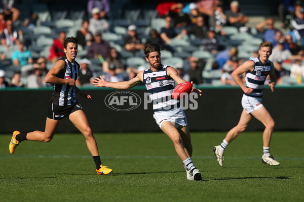 VFL Rd 06 - Geelong v Collingwood - 439632