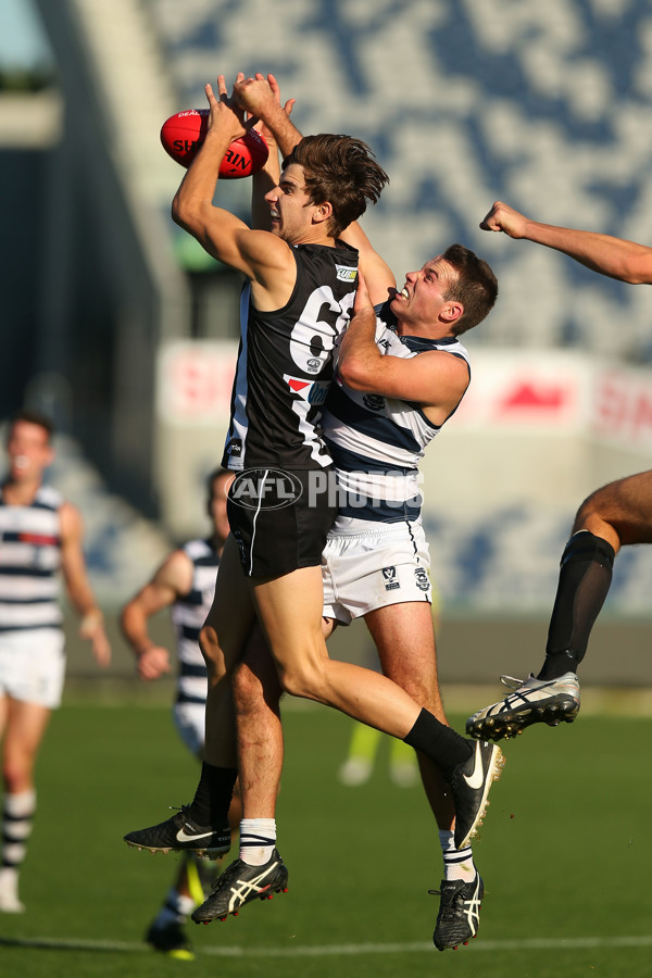 VFL Rd 06 - Geelong v Collingwood - 439668