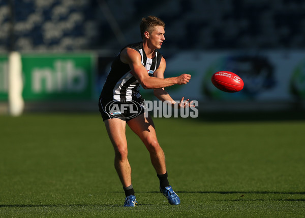 VFL Rd 06 - Geelong v Collingwood - 439662