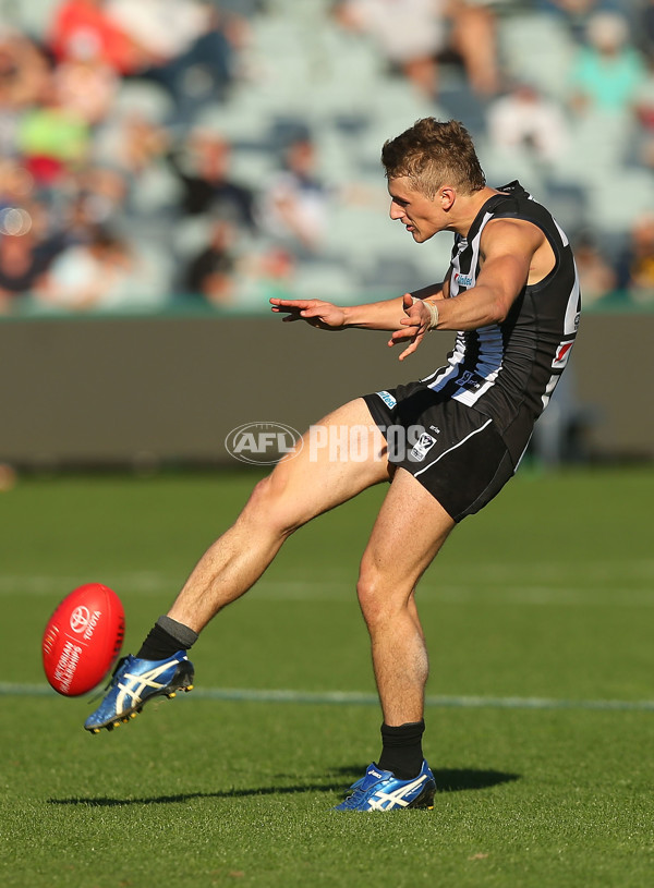 VFL Rd 06 - Geelong v Collingwood - 439672