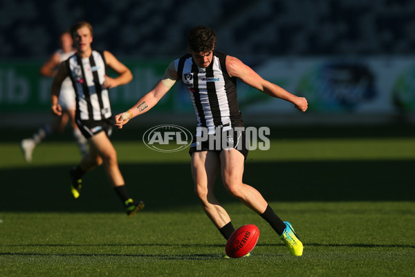 VFL Rd 06 - Geelong v Collingwood - 439683