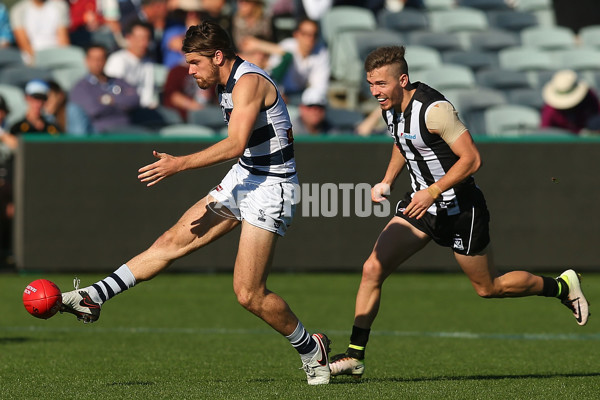 VFL Rd 06 - Geelong v Collingwood - 439651