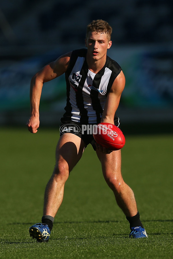 VFL Rd 06 - Geelong v Collingwood - 439661