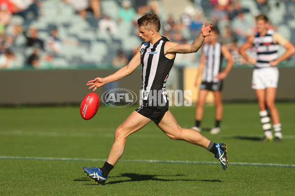 VFL Rd 06 - Geelong v Collingwood - 439671