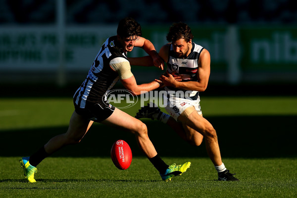 VFL Rd 06 - Geelong v Collingwood - 439682