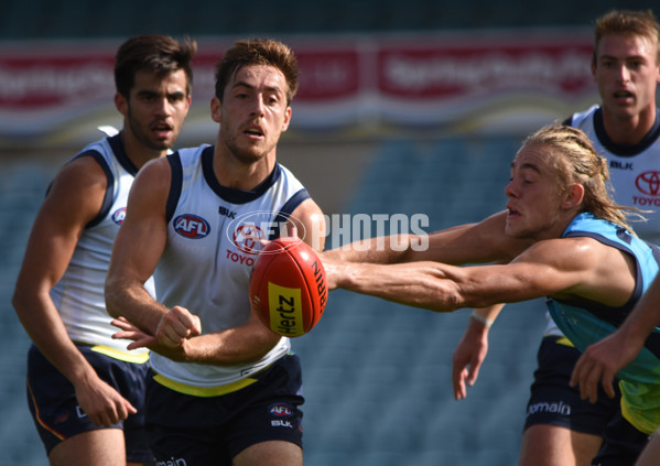 Adelaide 2016 - Training, May 18 - 440081