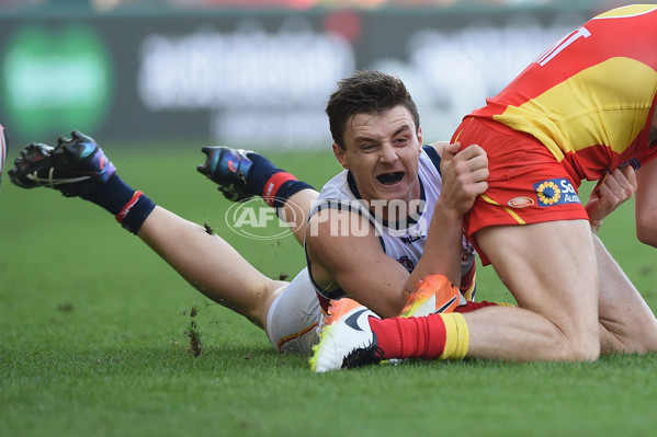 AFL 2016 Rd 09 - Gold Coast v Adelaide - 440472