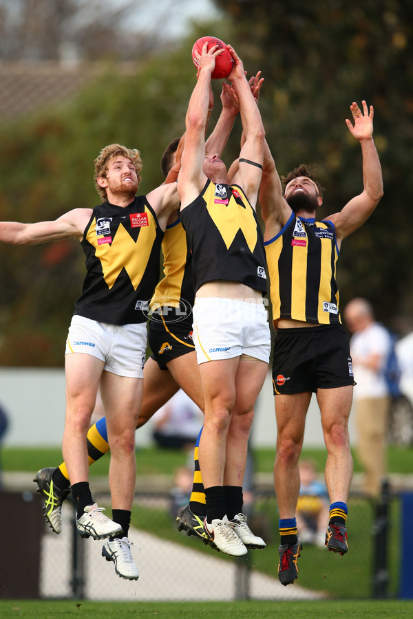 VFL Rd 07 - Sandringham v Werribee - 441193