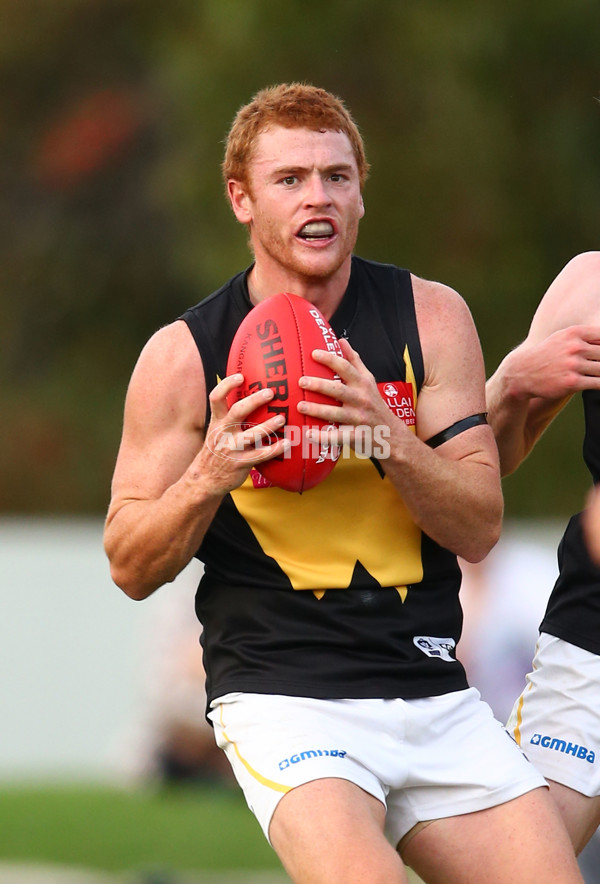 VFL Rd 07 - Sandringham v Werribee - 441574