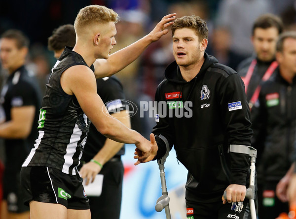 AFL 2016 Rd 10 - Collingwood v Western Bulldogs - 443217