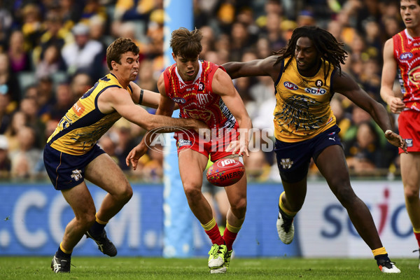 AFL 2016 Rd 10 - West Coast v Gold Coast - 443368