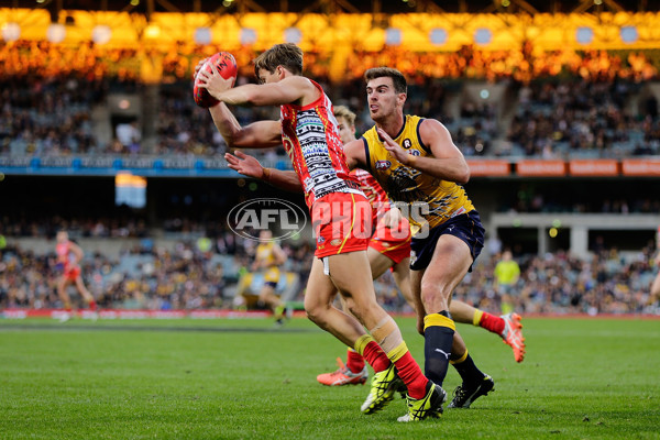 AFL 2016 Rd 10 - West Coast v Gold Coast - 443407